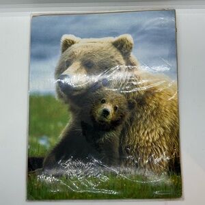 Laser print Of Grizzly Brown Bear with Cub Baby 8 X 10